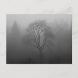 Baum im Nebel Vykort