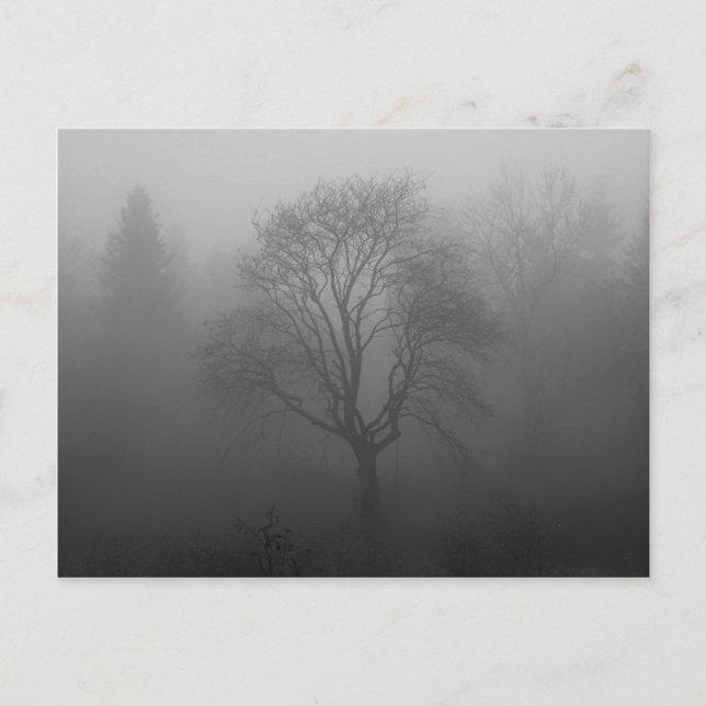Baum im Nebel Vykort (Framsida)