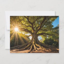 Baum in Sonnenstrahlen Vykort