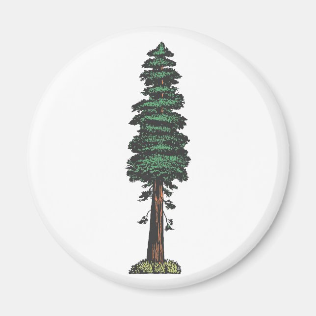 Baum tree sequoia magnet (Framsidan)