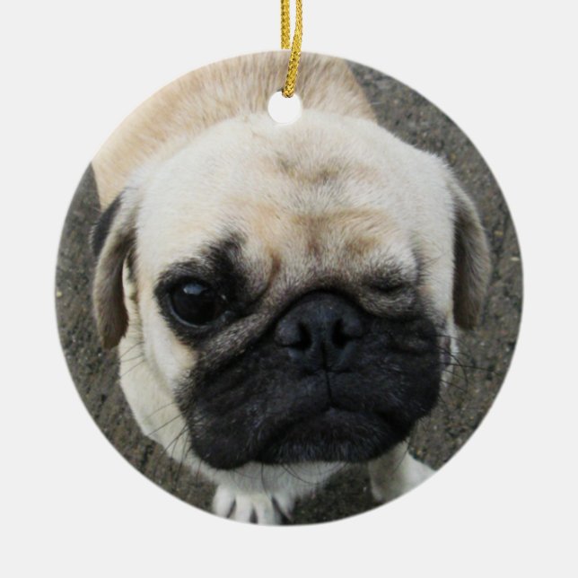 Bauwk ... Pug Hund ... Thailand Julgransprydnad Keramik (Framsidan)