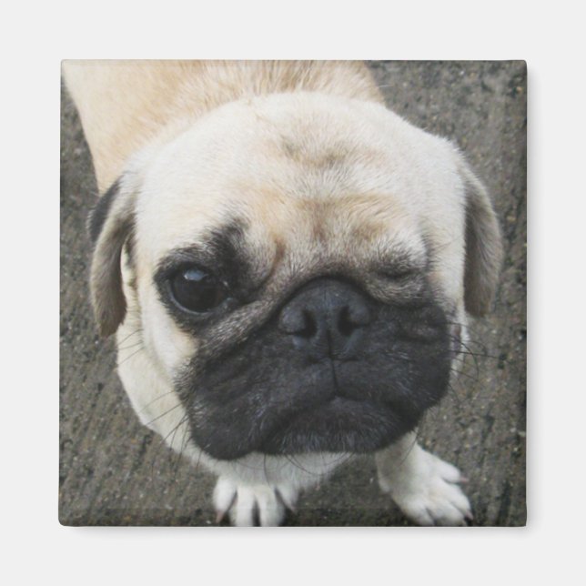 Bauwk ... Soi Hund, Thailand Magnet (Framsidan)