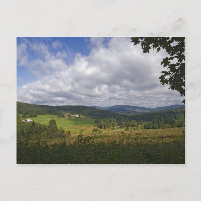 Bavarian Forest Postcard Vykort (Framsida)