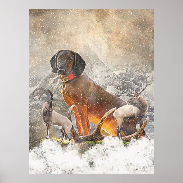 Bavarian Mountain Hound, Art Poster (Framsidan)