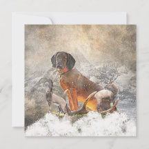 Bavarian Mountain Hound, Art