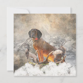 Bavarian Mountain Hound, Art Tack Kort