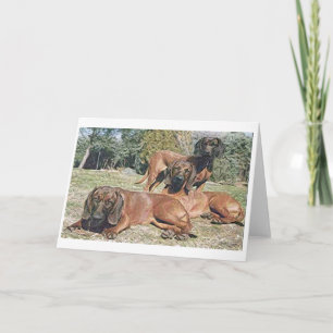 Bavarian Mountain Hound Hund Blank Greeting Card Kort