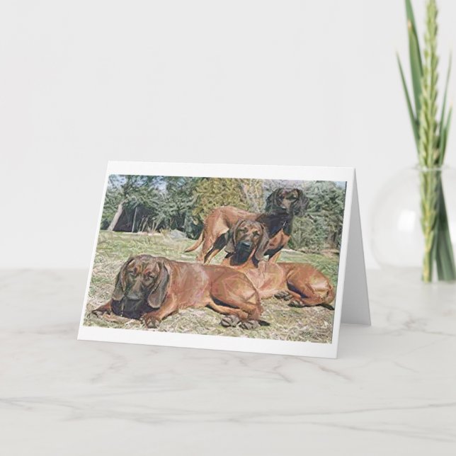 Bavarian Mountain Hound Hund Blank Greeting Card Kort (Framsida)