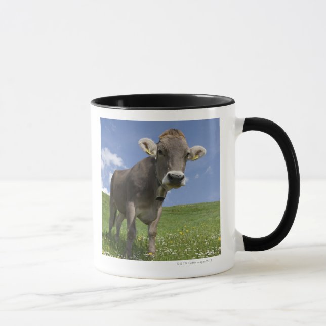 bavarianko mugg (Höger)