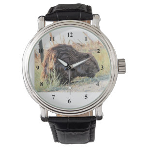 Bäver Armbandsur