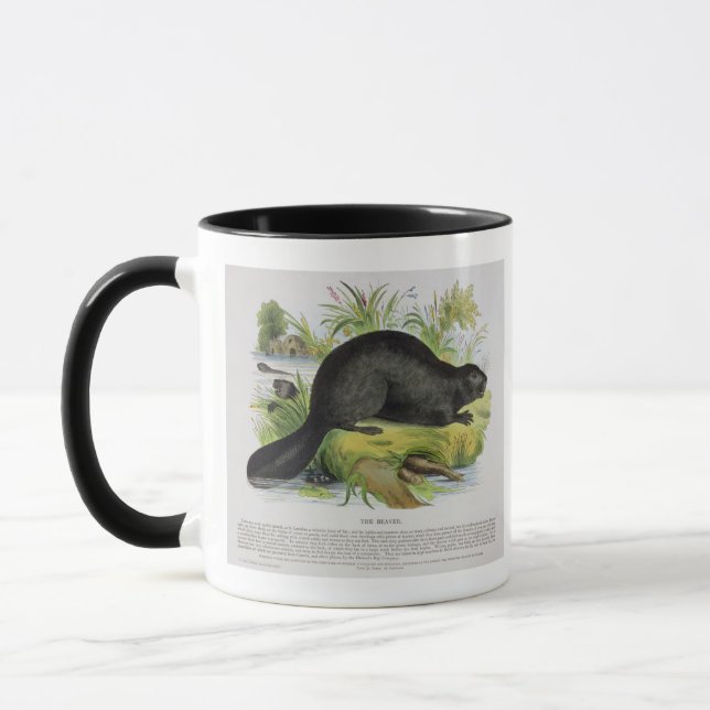 Bäver, bilda illustrationpub. vid set mugg (Vänster)