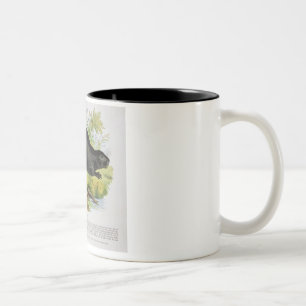 Bäver, bilda illustrationpub. vid set Två-Tonad mugg