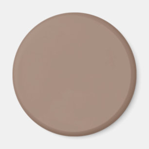 Bäver (enfärgad) magnet