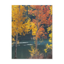 Bäver sjö (Mesa sjöar) i höst