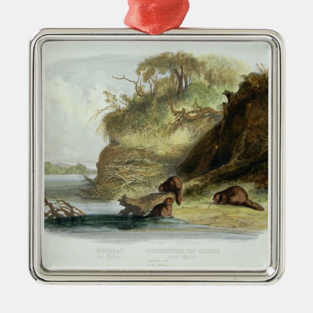 Bäver som förlägga i barack på Missouri, pläterar Julgransprydnad Metall (Framsidan)