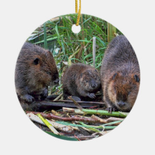 Bäverfamilj Julgransprydnad Keramik