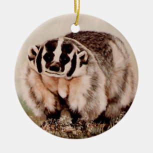 Bäverskinn Julgransprydnad Keramik