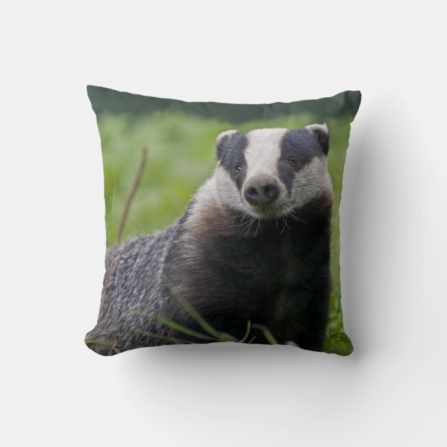 Bäverskinnet kudder kudde (Framsida)