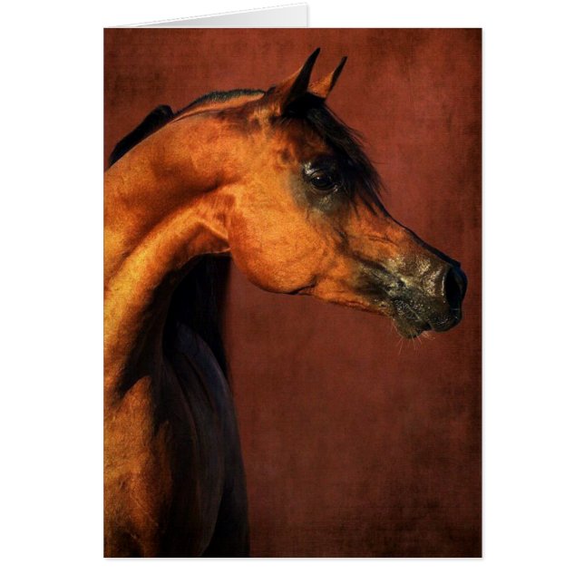 Bay Arabian Horse Hälsningskort (Framsidan)