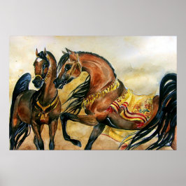 Bay Arabian Horse Porträtt Poster Skriv ut