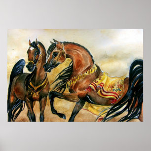 Bay Arabian Horse Porträtt Poster Skriv ut