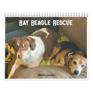 Bay Beagle Rädding 2024-kalender Kalender
