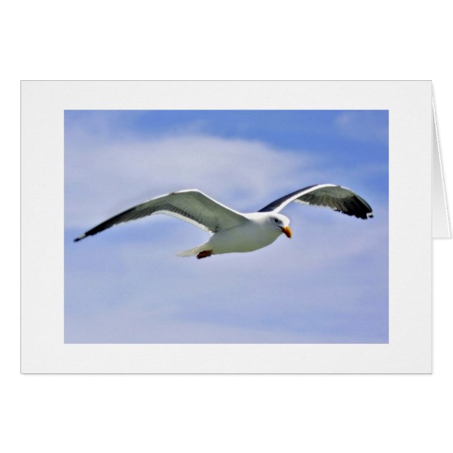 Bay Bird Hälsningskort (Framsidan Horizontal)