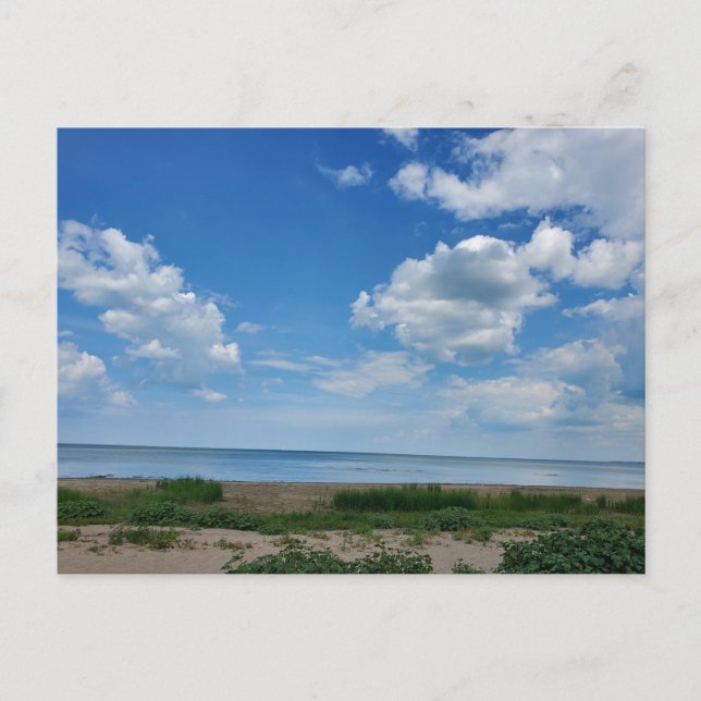 Bay City State Park Vykort (Framsida)