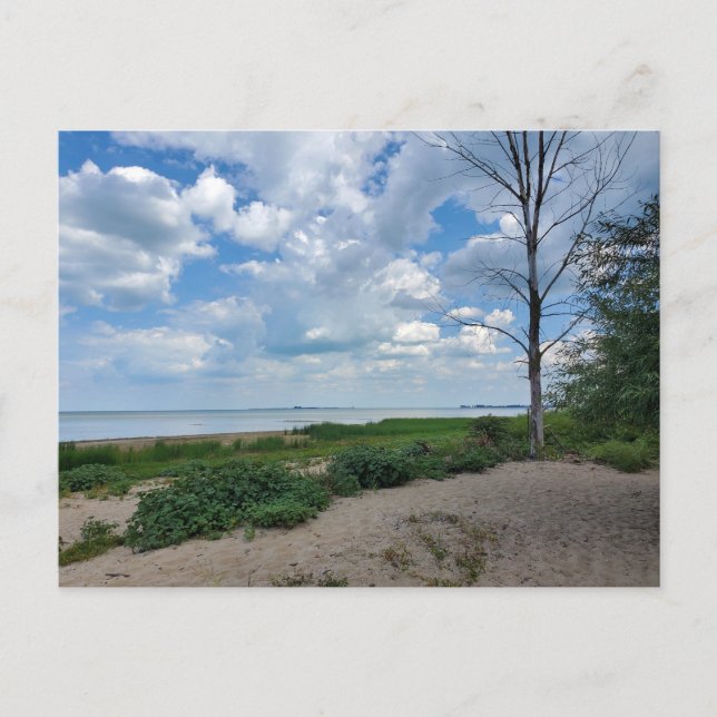 Bay City State Park Vykort (Framsida)