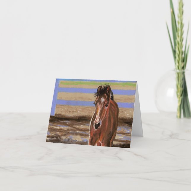 Bay Filly Kort (Framsida)