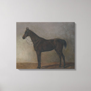 Bay Gelding Horse (av Albrecht Adam) Canvastryck