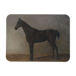Bay Gelding Horse (av Albrecht Adam) Magnet