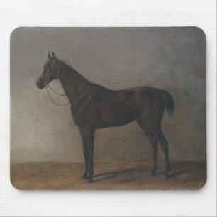 Bay Gelding Horse (av Albrecht Adam) Musmatta