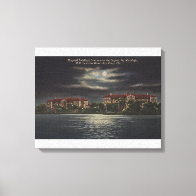 Bay Gräs, Florida - Moonlit View of Hospital Canvastryck (Framsida)