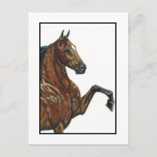 Bay Harness Pony 3 Vykort