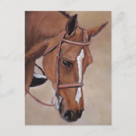 Bay Horse Animal Art Postcard Vykort