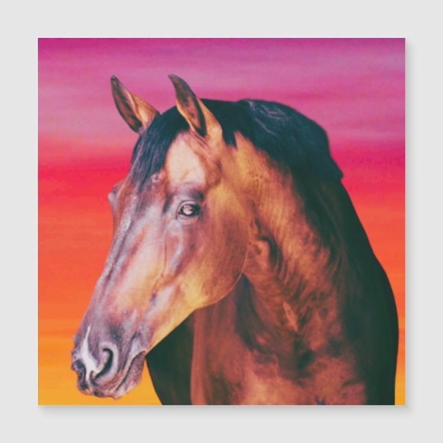 Bay Horse Gradient (Framsida)