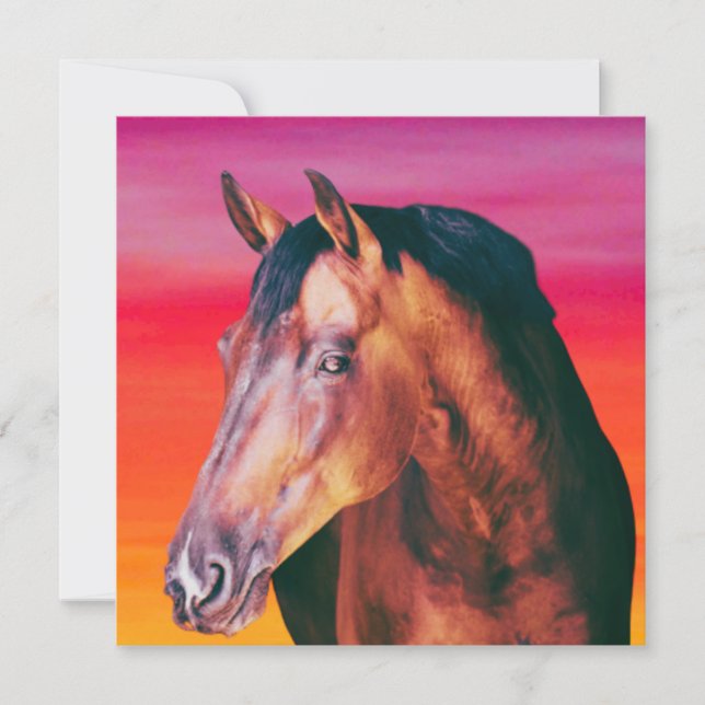 Bay Horse Gradient (Framsida)