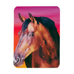 Bay Horse Gradient Magnet