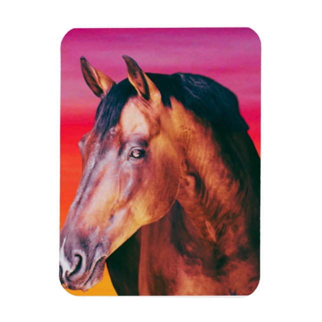 Bay Horse Gradient Magnet (Vertikal)