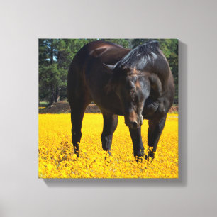 Bay Horse i Fält i Gula blommor Canvastryck
