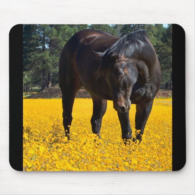 Bay Horse i Fält i Gula blommor Musmatta (Framsidan)