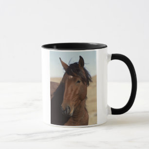 Bay Horse i Vind Mugg
