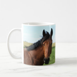 Bay Horse in Pasture Two-Tone Coffee Mugg
