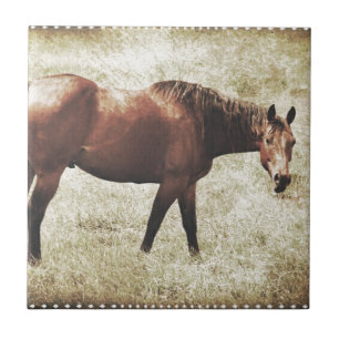Bay Horse Kakelplatta