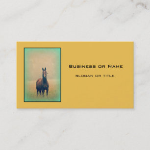 Bay Horse Ställande i Fält Visitkort