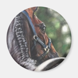 Bay Horse Thoroughborn Warmblods Dressage Jumper Magnet