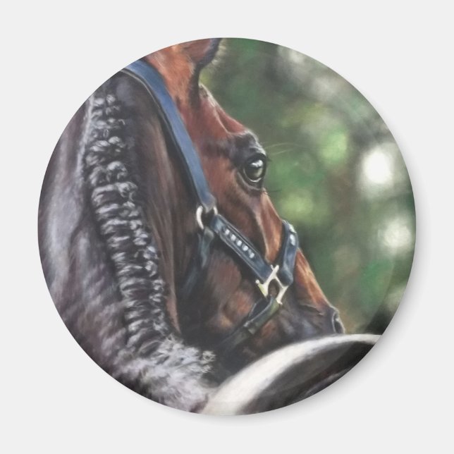 Bay Horse Thoroughborn Warmblods Dressage Jumper Magnet (Framsidan)