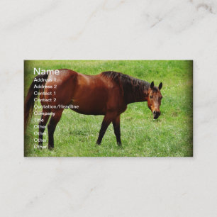 Bay Horse Visitkort
