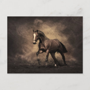 Bay Horse Vykort